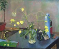 Oxalis in the Studio